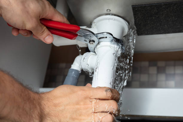 Best Mold removal after water damage  in Vandenberg Af, CA