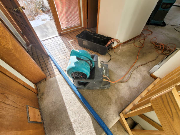Best Basement water damage restoration  in Vandenberg Af, CA