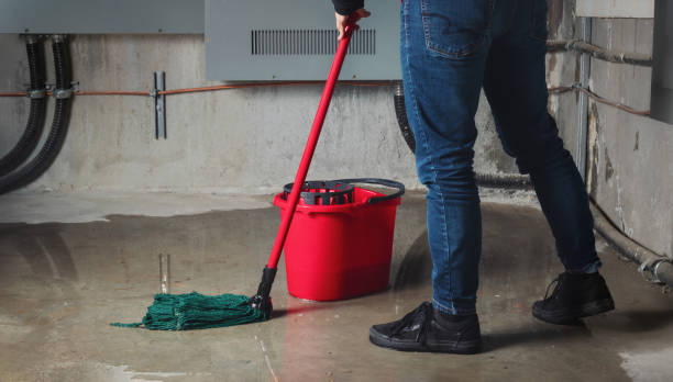 Best Flood restoration services  in Vandenberg Af, CA
