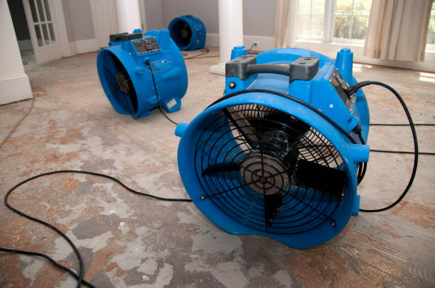 Best 24/7 water damage repair  in Vandenberg Af, CA