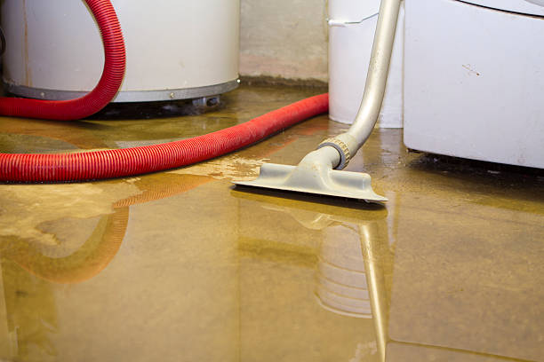 Best Flood damage cleanup  in Vandenberg Af, CA