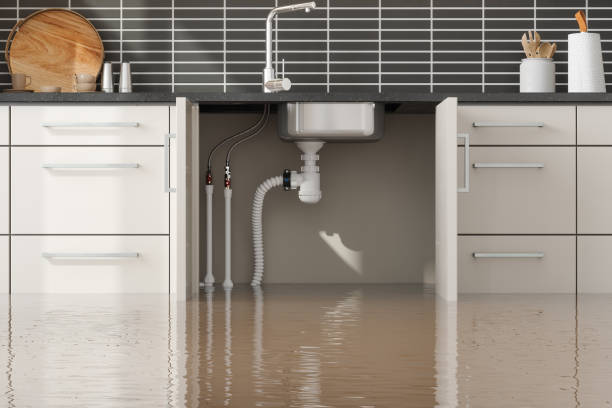 Best Water damage restoration near me  in Vandenberg Af, CA