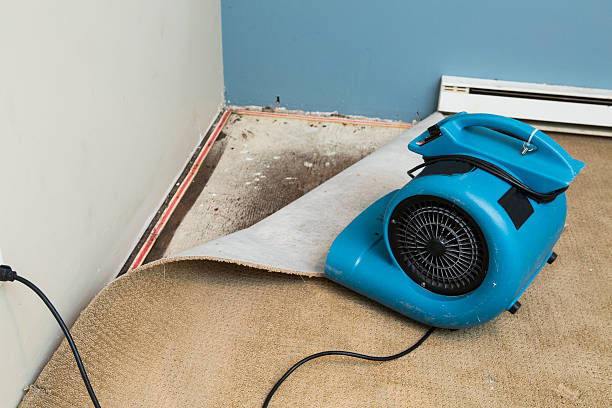 Best Water damage restoration near me  in Vandenberg Af, CA